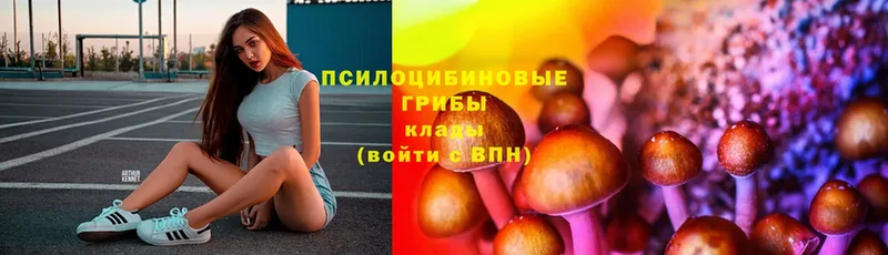 Псилоцибиновые грибы GOLDEN TEACHER  Верхоянск 